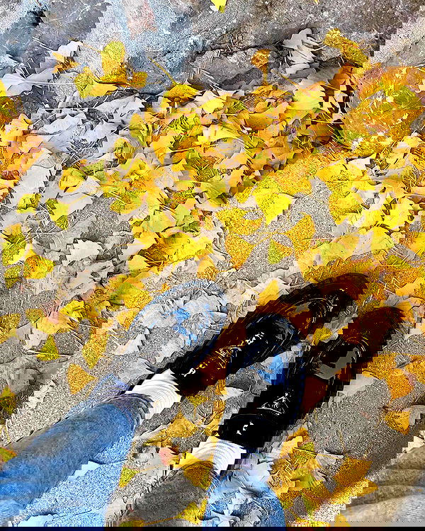 sophiemudd sophiemudd archive image