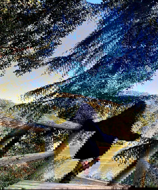 sophiemudd sophiemudd archive image