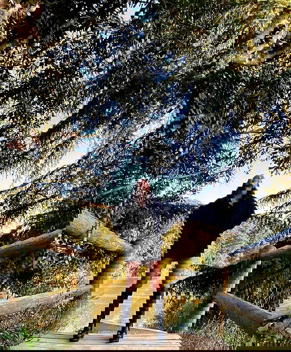 sophiemudd sophiemudd archive image