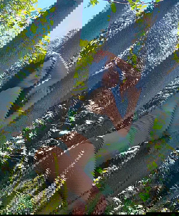 sophiemudd sophiemudd archive image