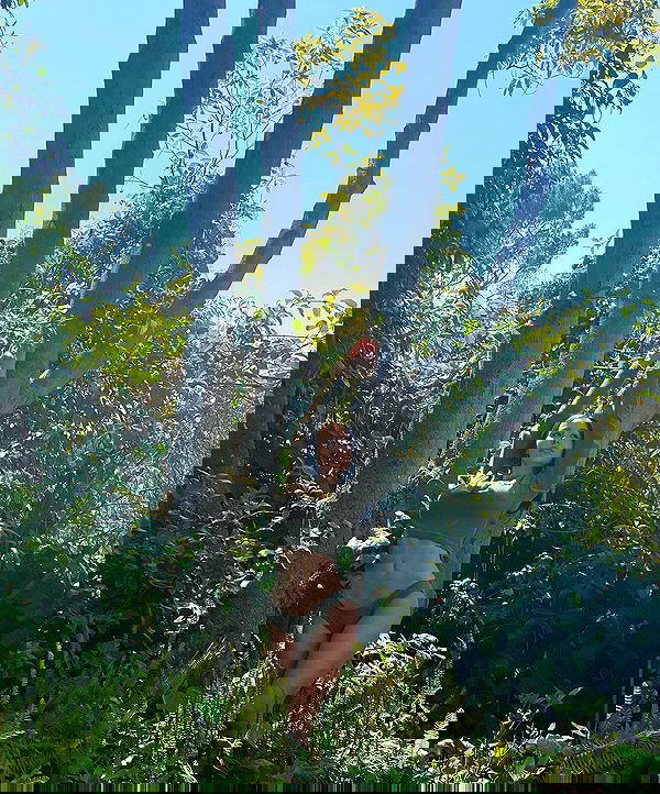 sophiemudd sophiemudd archive image