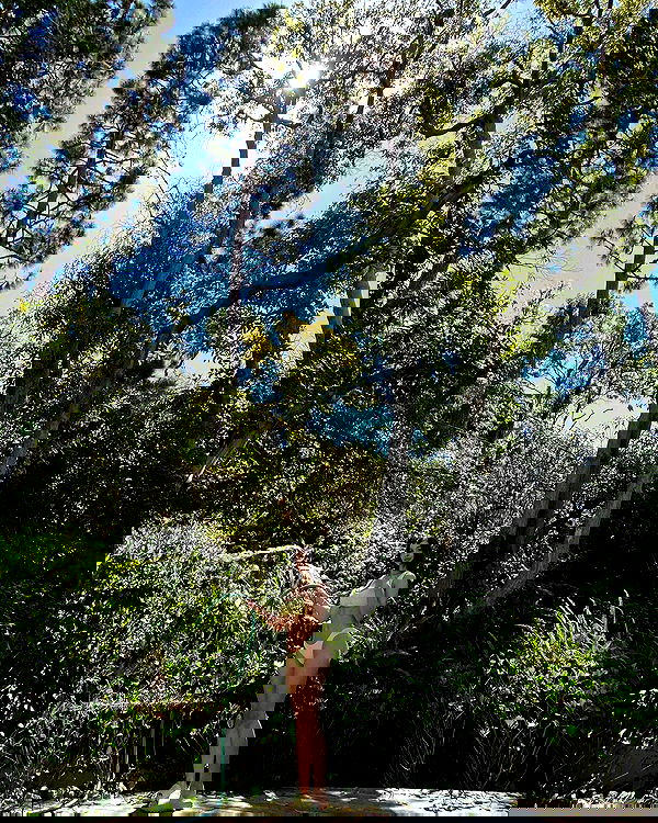 sophiemudd sophiemudd archive image