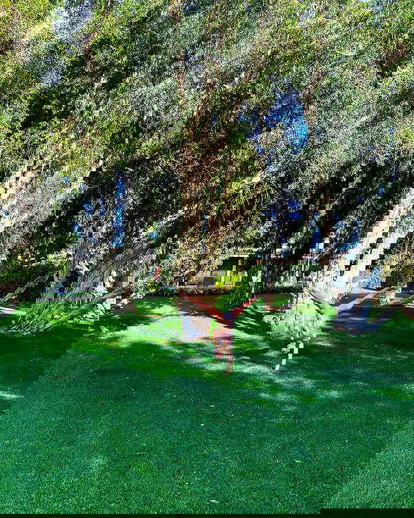 sophiemudd sophiemudd archive image