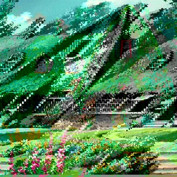 sophiemudd sophiemudd archive image