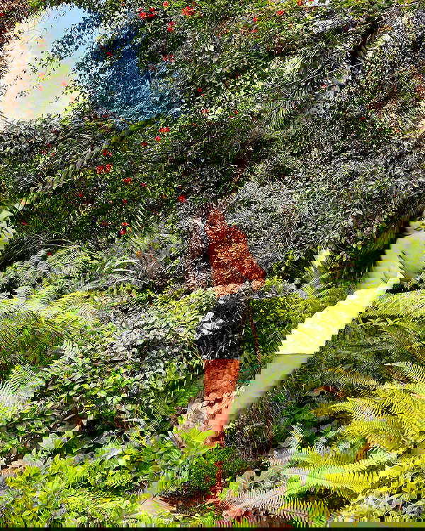 sophiemudd sophiemudd archive image