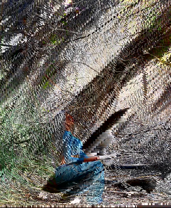 sophiemudd sophiemudd archive image