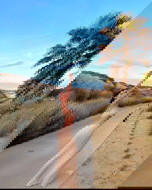 sophiemudd sophiemudd archive image