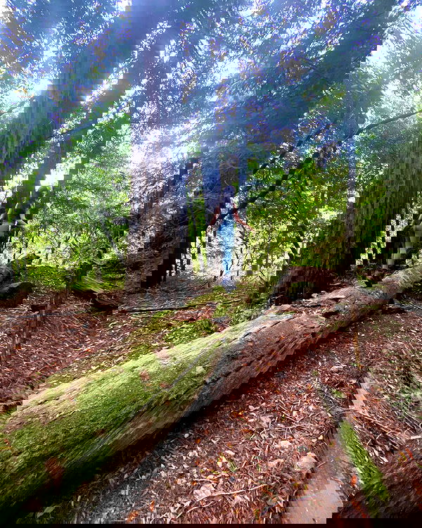 sophiemudd sophiemudd archive image