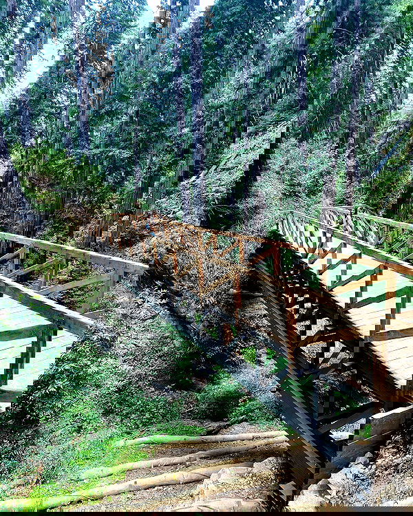 sophiemudd sophiemudd archive image