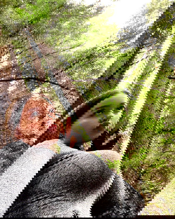 sophiemudd sophiemudd archive image