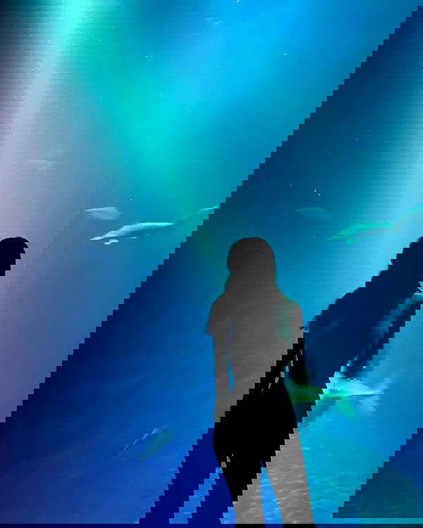 sophiemudd sophiemudd archive image