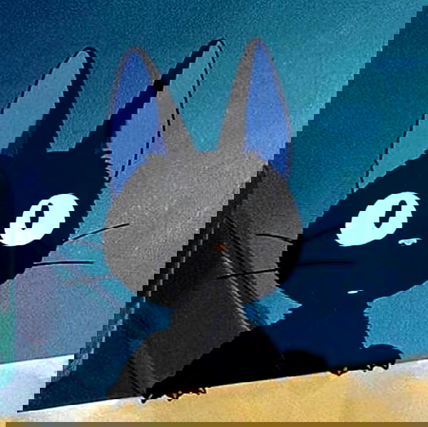 sophiemudd sophiemudd archive image