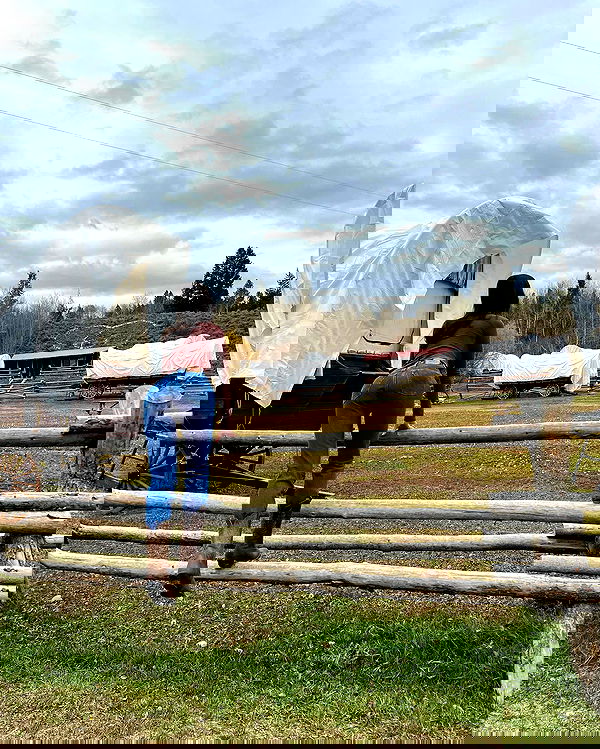 sophiemudd sophiemudd archive image