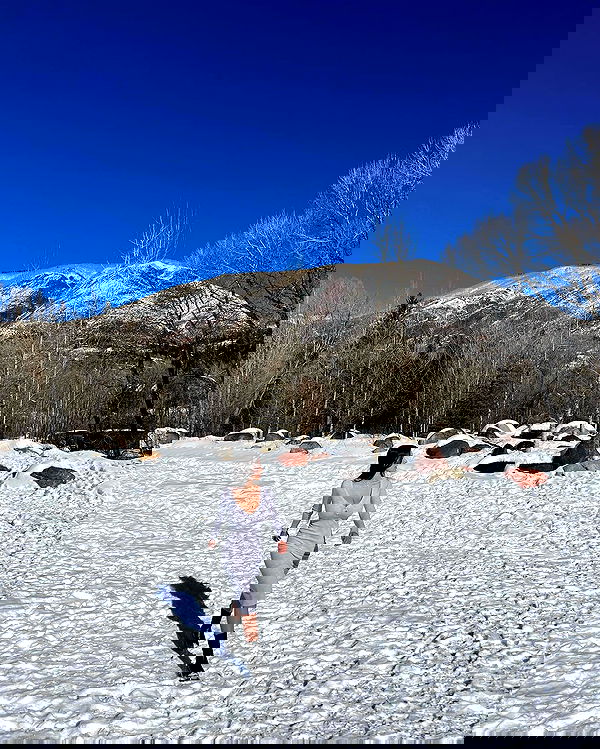 sophiemudd sophiemudd archive image