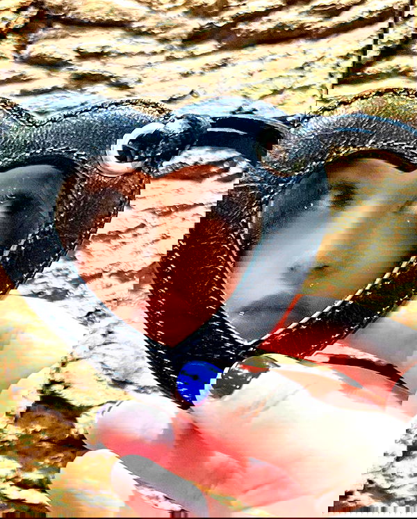 sophiemudd sophiemudd archive image