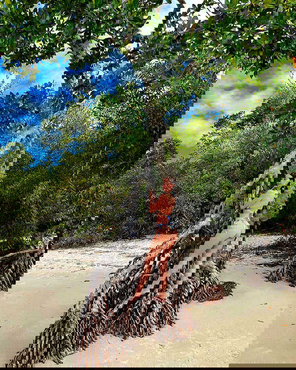 sophiemudd sophiemudd archive image