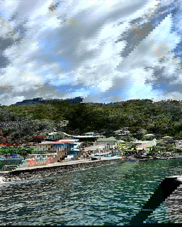 sophiemudd sophiemudd archive image