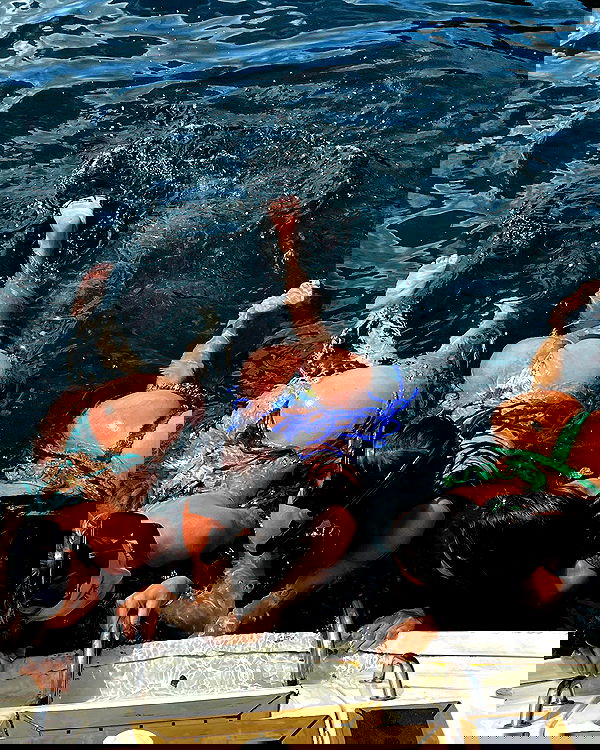 sophiemudd sophiemudd archive image