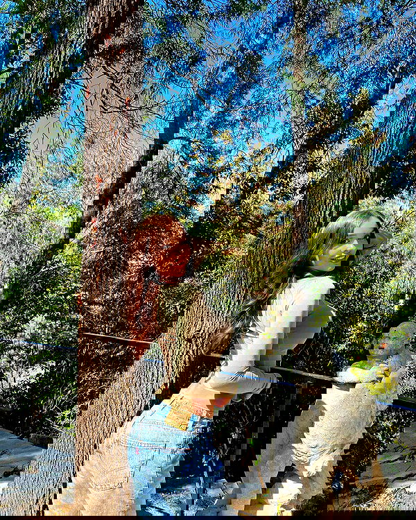 sophiemudd sophiemudd archive image