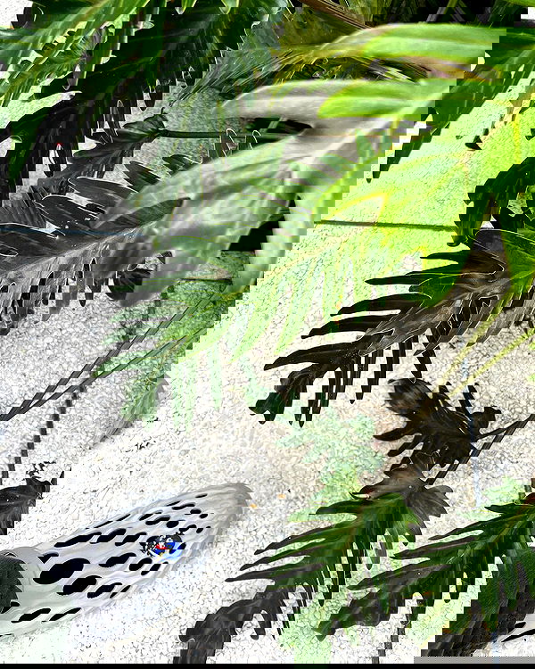 sophiemudd sophiemudd archive image