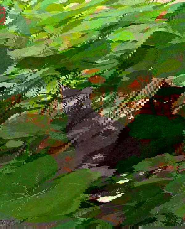 sophiemudd sophiemudd archive image