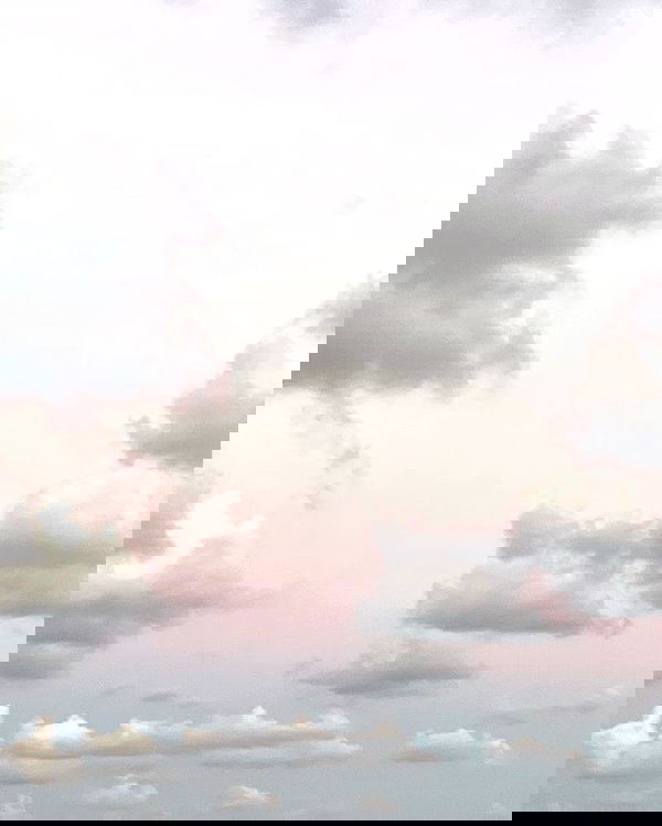 sophiemudd sophiemudd archive image