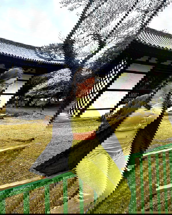 sophiemudd sophiemudd archive image