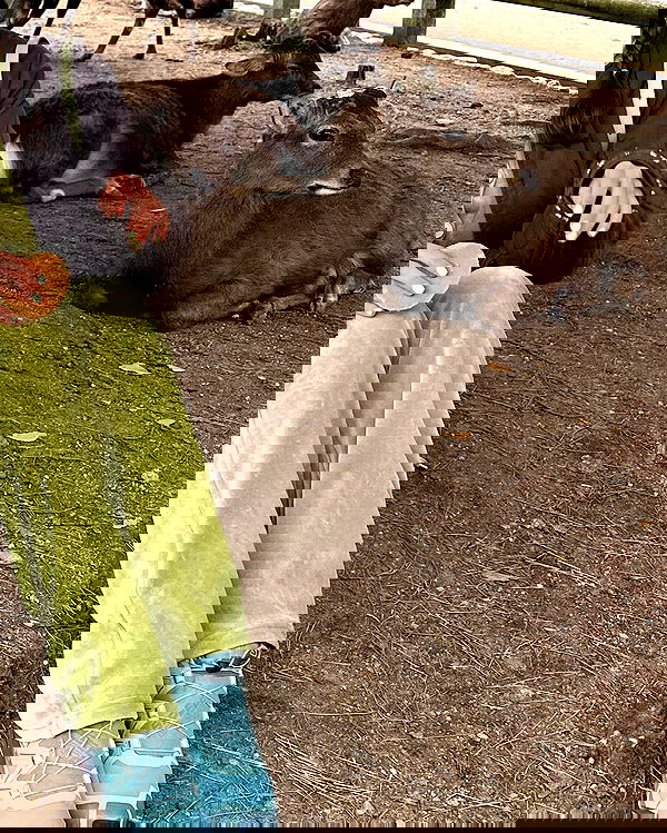 sophiemudd sophiemudd archive image