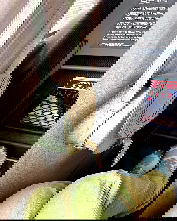 sophiemudd sophiemudd archive image