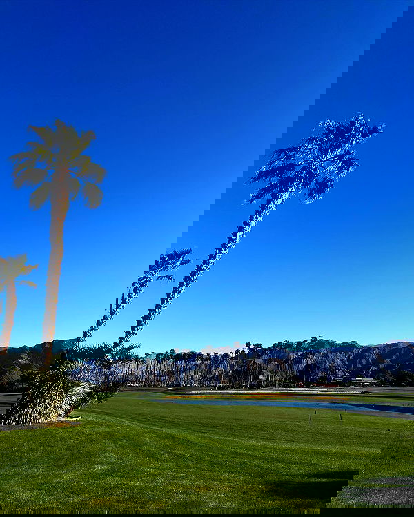 sophiemudd sophiemudd archive image