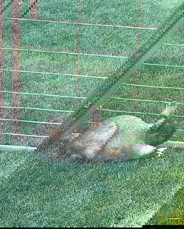 sophiemudd sophiemudd archive image