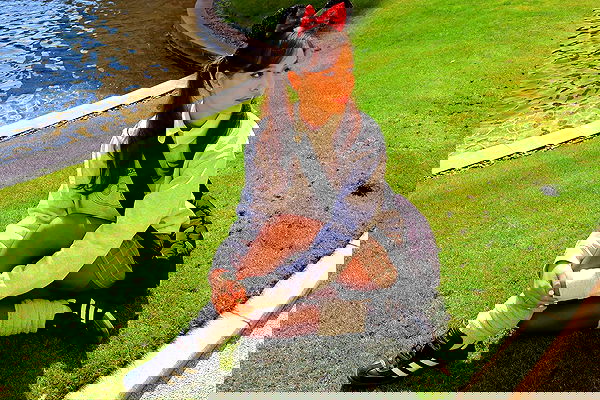 sophiemudd sophiemudd archive image