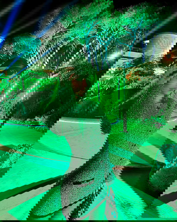 sophiemudd sophiemudd archive image