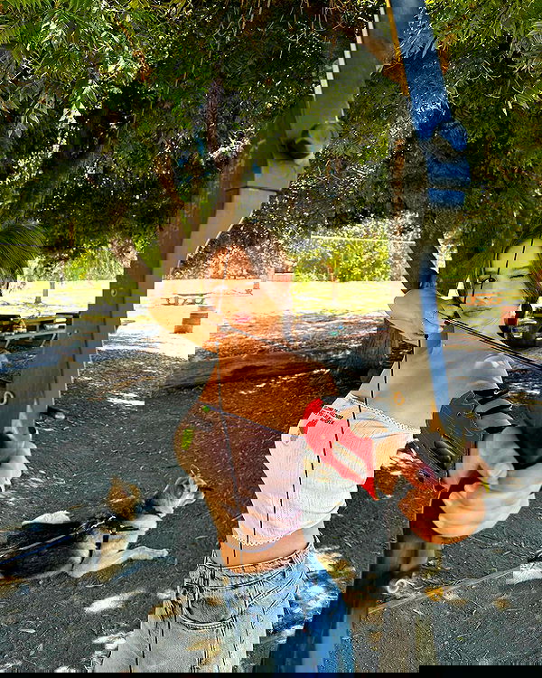 sophiemudd sophiemudd archive image