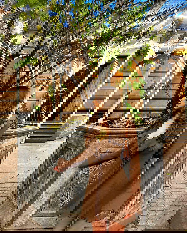 sophiemudd sophiemudd archive image