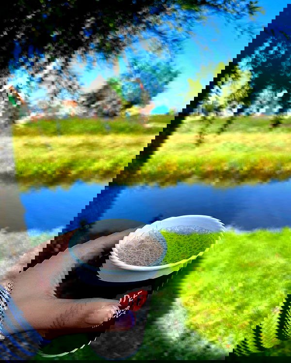 sophiemudd sophiemudd archive image