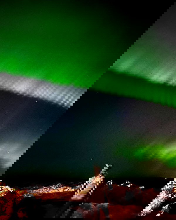 sophiemudd sophiemudd archive image