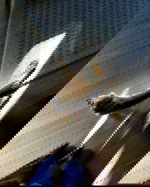 sophiemudd sophiemudd archive image