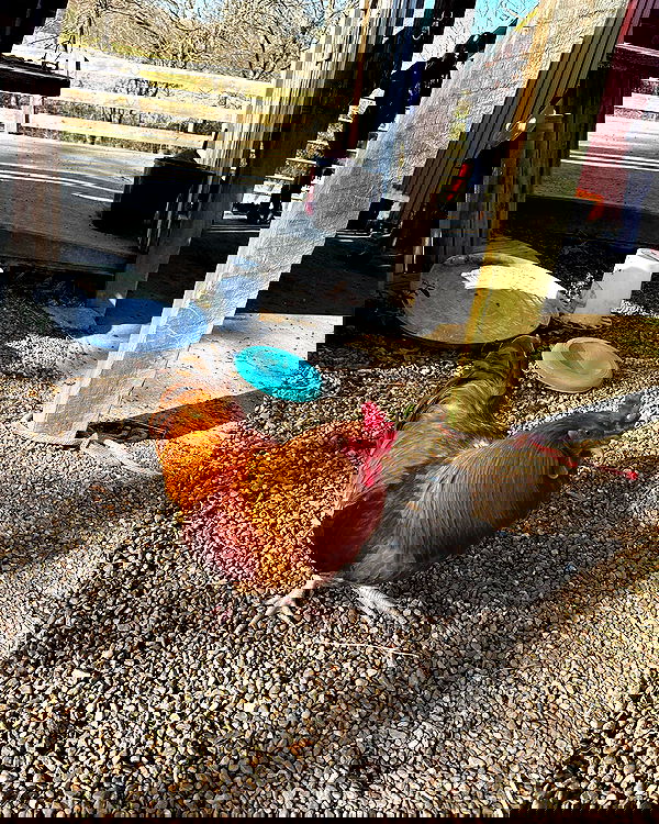 sophiemudd sophiemudd archive image