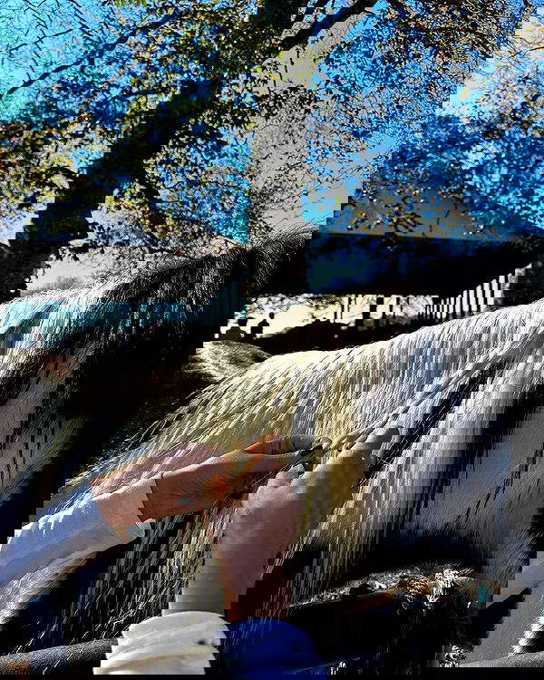 sophiemudd sophiemudd archive image