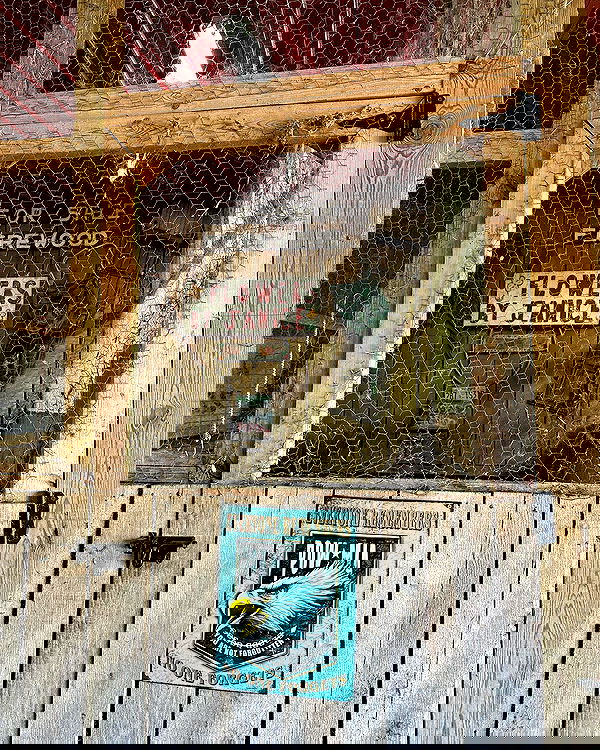 sophiemudd sophiemudd archive image