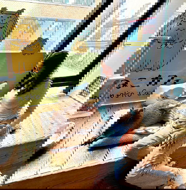 sophiemudd sophiemudd archive image