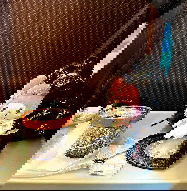 sophiemudd sophiemudd archive image