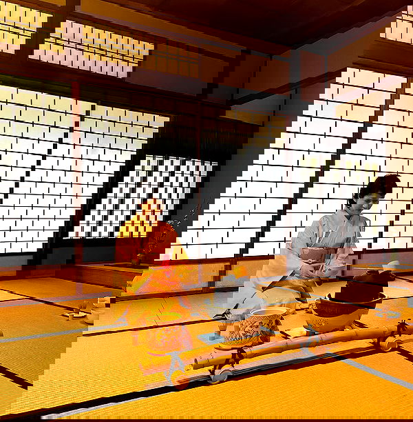 sophiemudd sophiemudd archive image