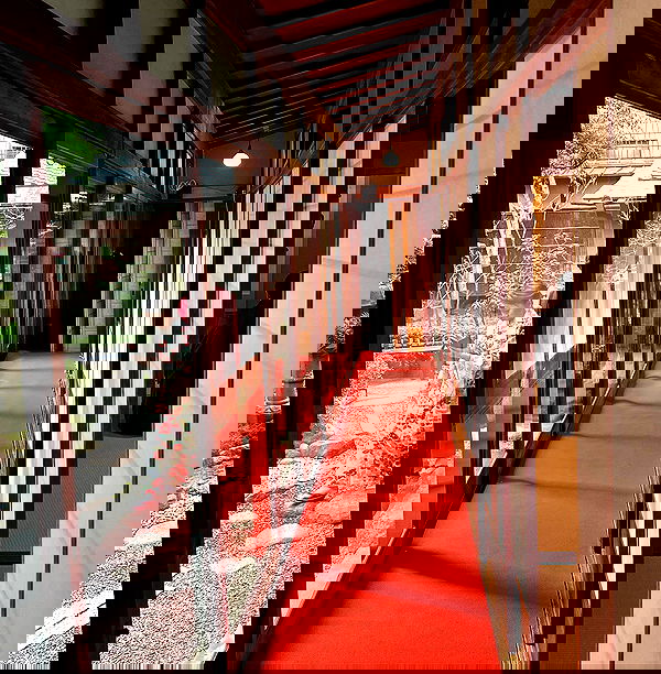 sophiemudd sophiemudd archive image