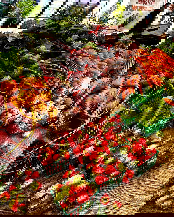 sophiemudd sophiemudd archive image