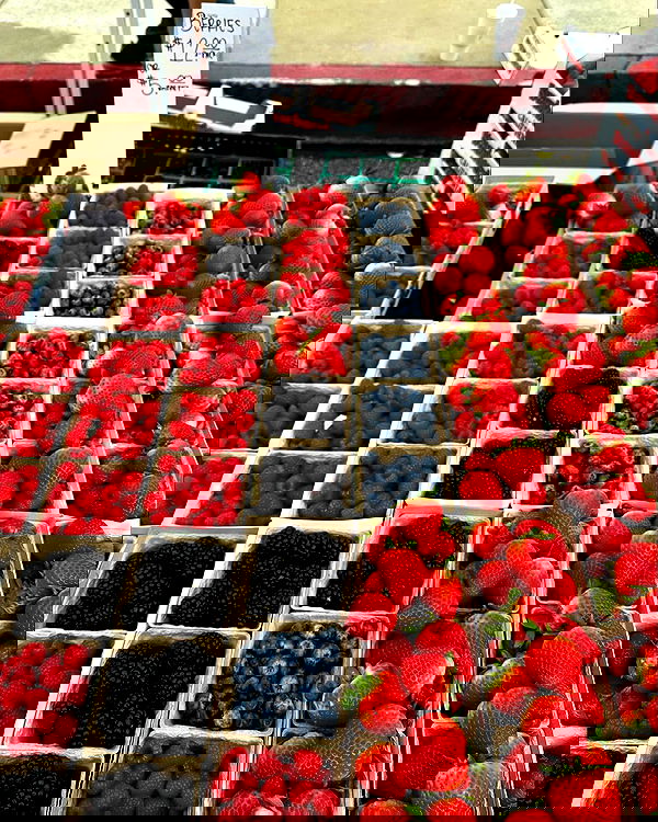 sophiemudd sophiemudd archive image