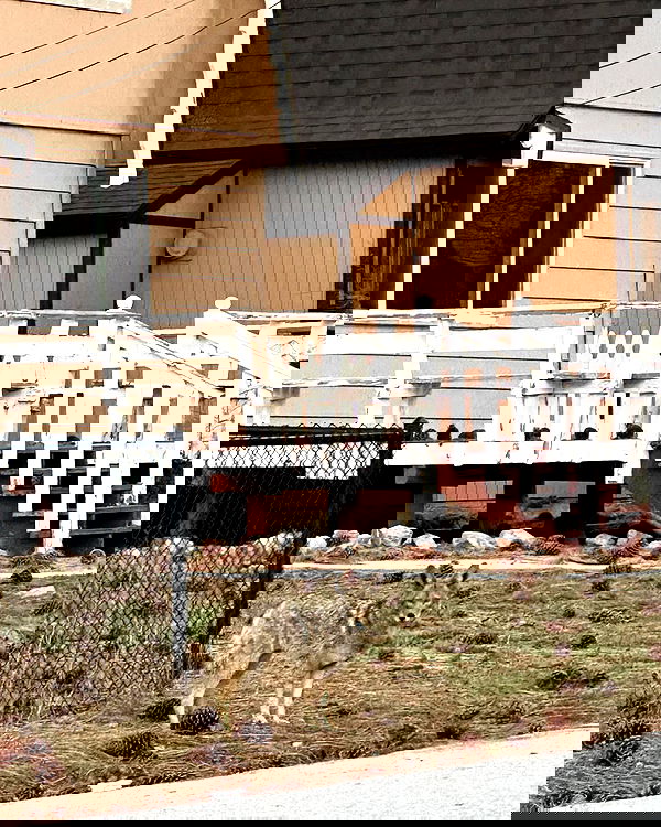 sophiemudd sophiemudd archive image