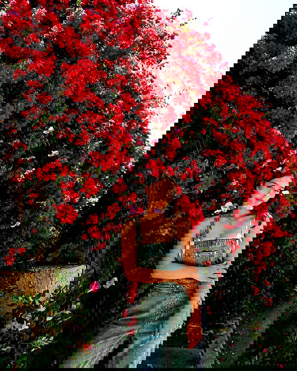 sophiemudd sophiemudd archive image