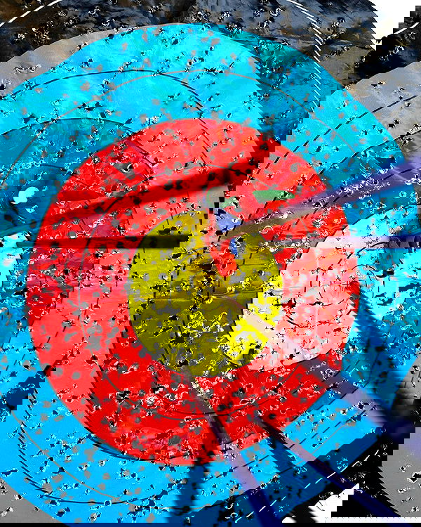 sophiemudd sophiemudd archive image